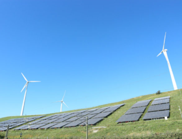 Environmental Law practice