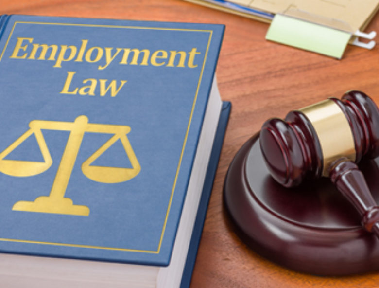 Labor and Employment law practice